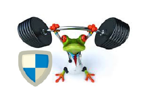 Protection and Security Shield